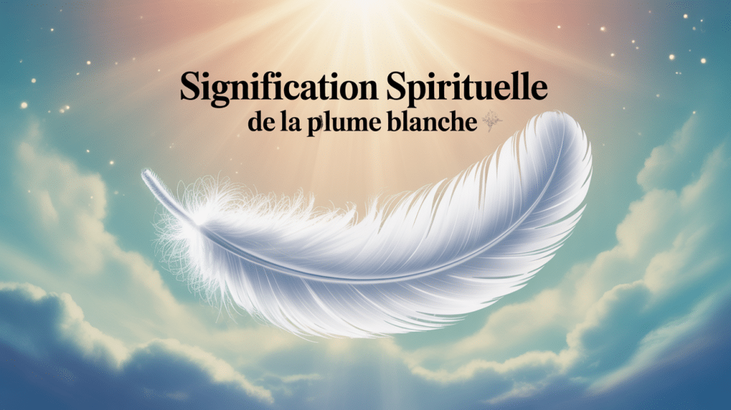 Trouver plume blanche signification et spiritualité