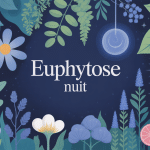 euphytose nuit illustration sommeil naturel valériane passiflore mélisse aubépine
