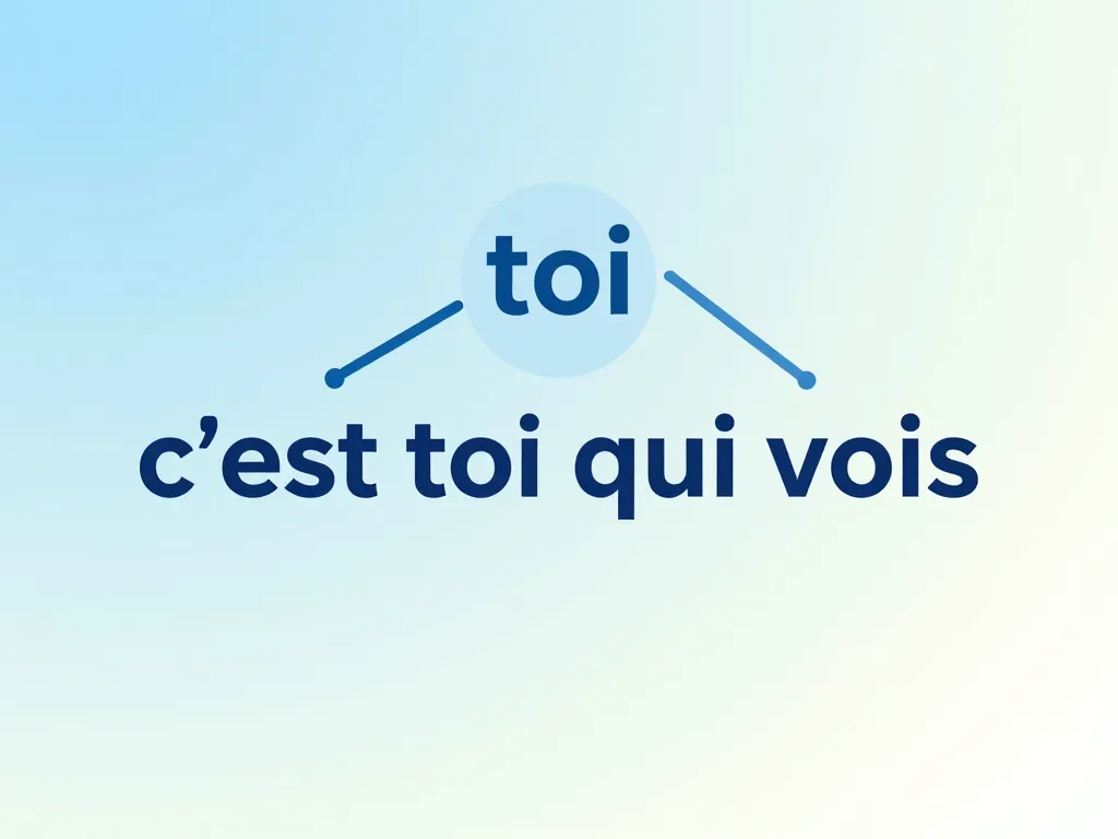 schema accord verbe c est toi qui vois ou voit