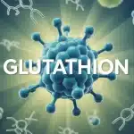 Illustration glutathion molécule antioxydant cellules radicaux libres foie